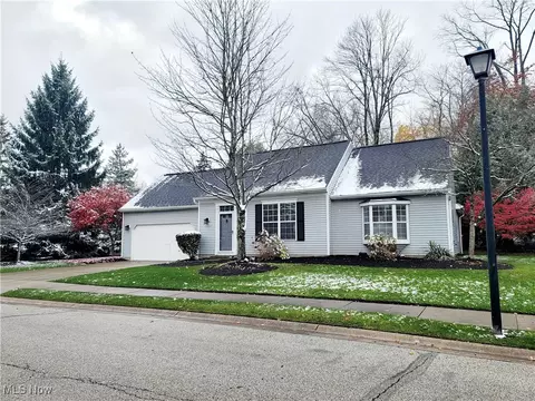 10505 White Ash Trl, Twinsburg, OH 44087