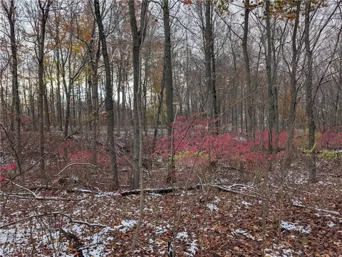Greenwich Road, Lodi, OH 44254