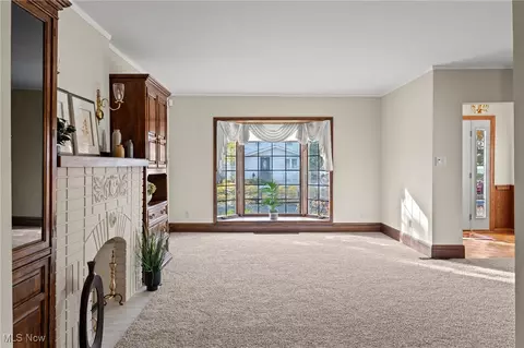 Living - 705 Damon St, Akron, OH 44310 photo 4 of 6