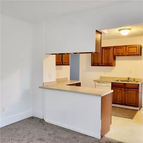 Other - 925 E St, Lorain, OH 44052 photo 17 of 31