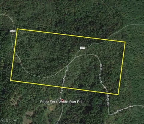 Wolfe Run Road, Belleville, WV 26133