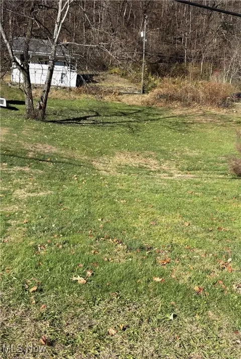 448 Market St, Clarington, OH 43915