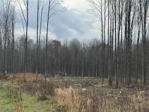 Root Road, Conneaut, OH 44030