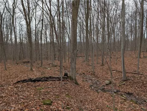 Thwing Road, Chardon, OH 44024