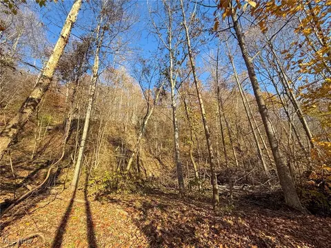 Deaver Rd, Mcconnelsville, OH 43756