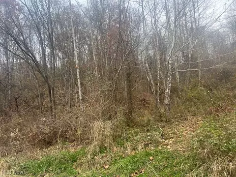 845 Back Run Rd, Philo, OH 43771 photo 5