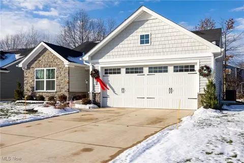 Exterior - 133 W Spring Dr, Elyria, OH 44035 photo 2 of 7