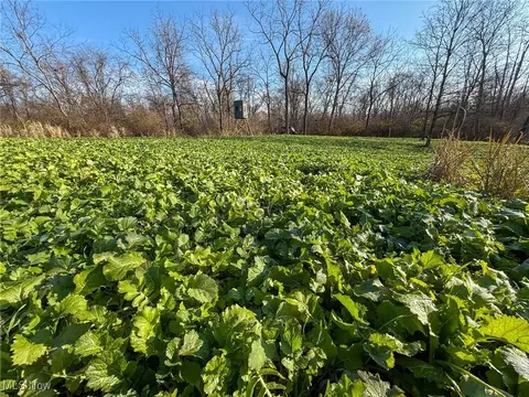 0 Homestead, New Concord, OH 43762