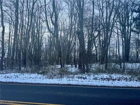 Newton, Brimfield, OH 44278