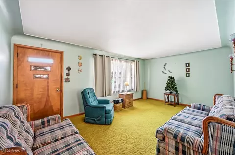 Other - 250 E Manor Ave, Struthers, OH 44471 photo 5 of 8