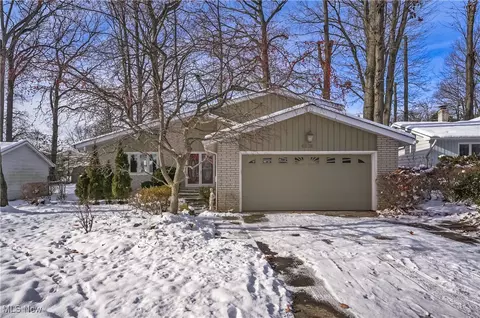 6536 Duneden Ave, Solon, OH 44139