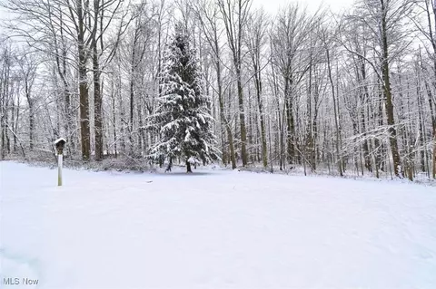 Exterior - 3302 S Ridge Rd E, Ashtabula, OH 44004 photo 6 of 9