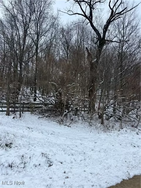 Rice Road, New Philadelphia, OH 44663