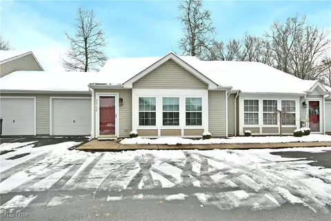 3339 Eagles Loft, Cortland, OH 44410