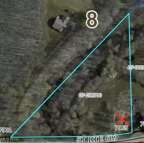 7965 State Route 609, Burghill, OH 44404