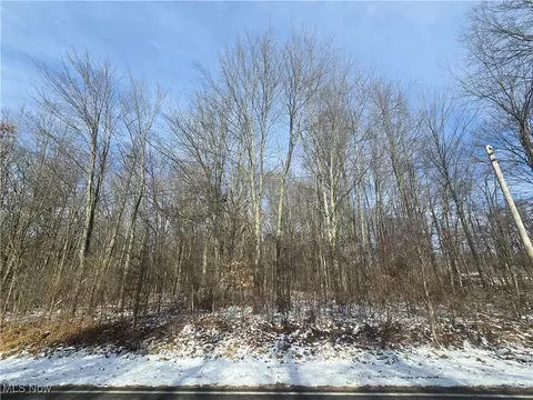 Leffingwell Road, Berlin Center, OH 44401