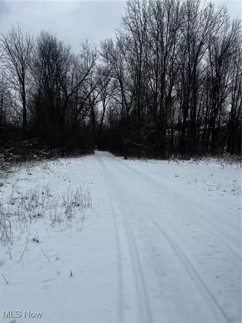 3047 Cannon Rd, Twinsburg, OH 44087