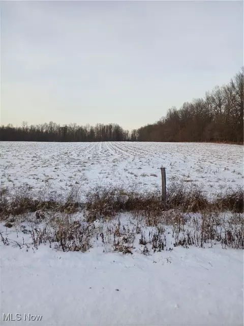 Selkirk Bush Road, Newton Falls, OH 44444