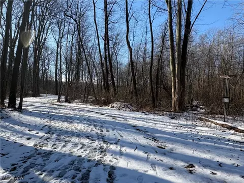 42141 Emerson Ct, Elyria, OH 44035 photo 35