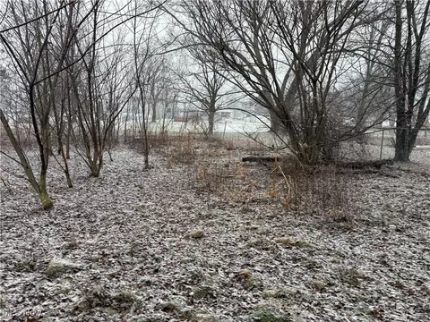 9076 E Southview St, Minerva, OH 44657 photo 30