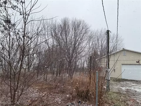 9076 E Southview St, Minerva, OH 44657 photo 3