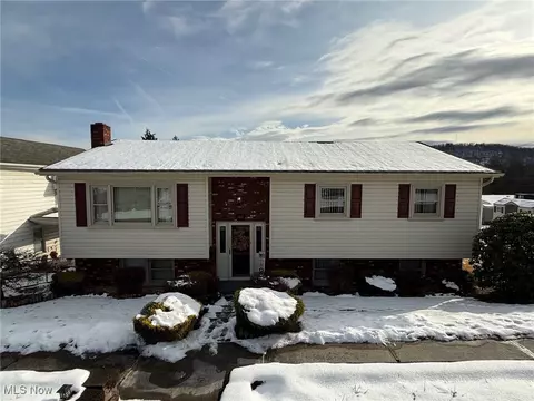 1108 N 8th St, Martins Ferry, OH 43935
