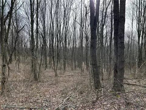 Mace Road, Carrollton, OH 44615