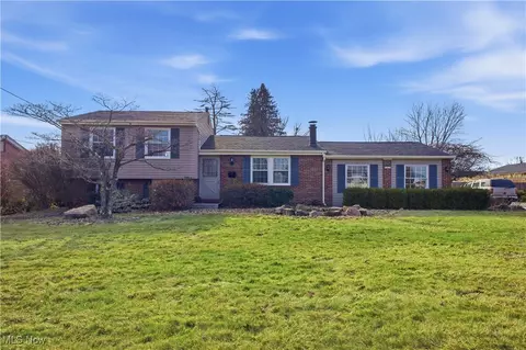 541 Blossom Ave, Campbell, OH 44405
