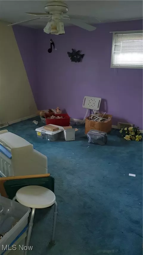 815 E 272nd St, Euclid, OH 44132 photo 48