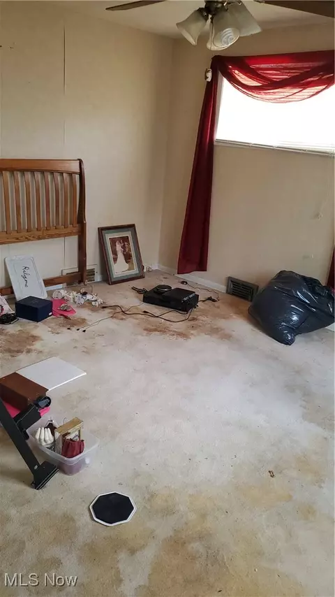 815 E 272nd St, Euclid, OH 44132 photo 38