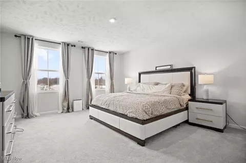 Bedroom - 214 Leather Leaf Dr, Elyria, OH 44035 photo 1 of 11