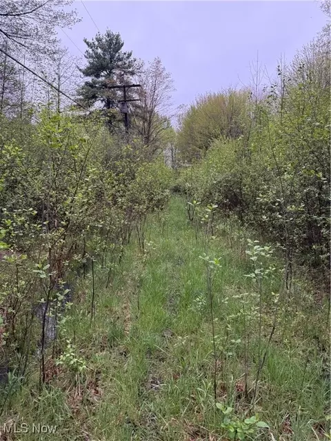 Durst Drive, Cortland, OH 44410