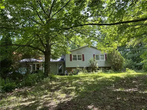 7148 Chatham Rd, Medina, OH 44256