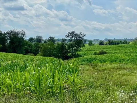 Foundry Hill Road, Salineville, OH 43945