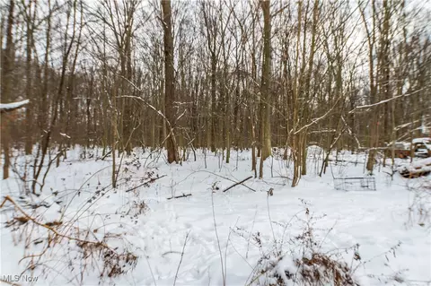 Other - 2896 Alliance Rd, Rootstown, OH 44272 photo 4 of 12