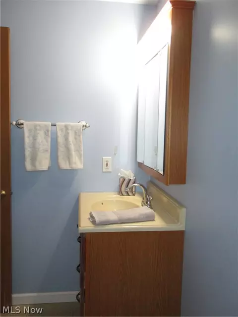 Bath - 490 Mapleview Dr, Seven Hills, OH 44131 photo 3 of 6