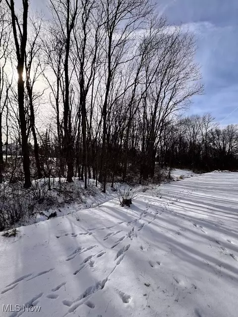 V/l Hartman Road, Wadsworth, OH 44281