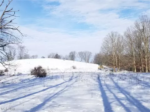 Lewis Road, Salineville, OH 43945