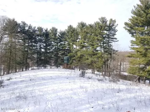 Lewis Road, Salineville, OH 43945