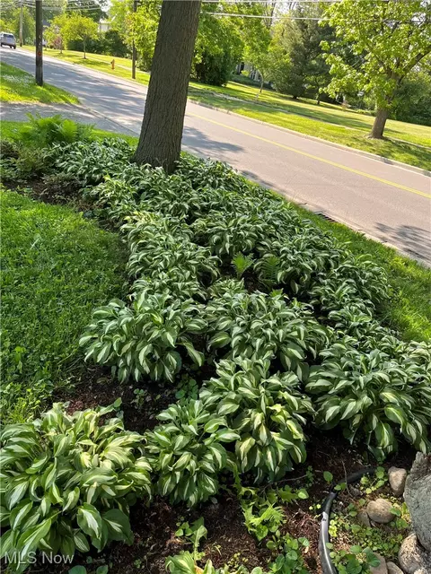 Other - 441 E College St, Oberlin, OH 44074 photo 2 of 18