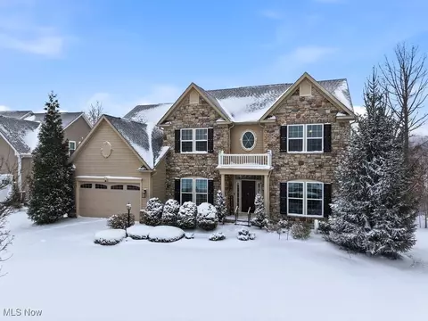 7969 Megan Meadow Dr, Hudson, OH 44236