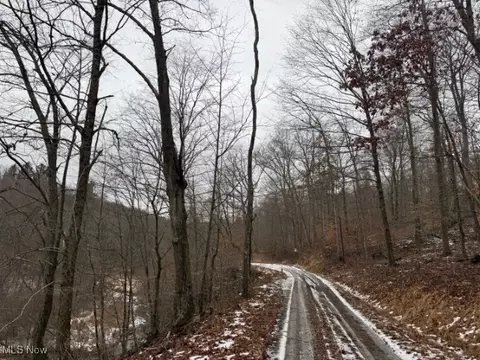 Rear Township Road, Lewisville, OH 43754