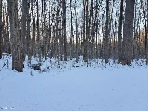 Geauga Lake Road, Chagrin Falls, OH 44023