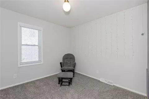 16008 Button St, Middlefield, OH 44062 photo 36