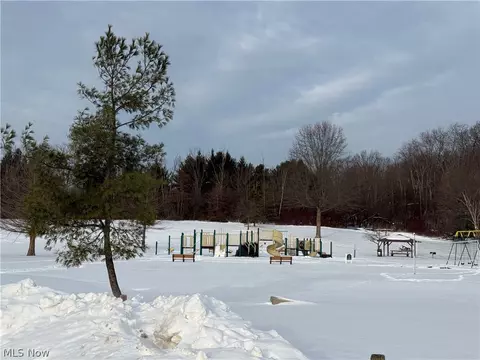 Other - 349 E Mennonite Rd, Aurora, OH 44202 photo 20 of 20