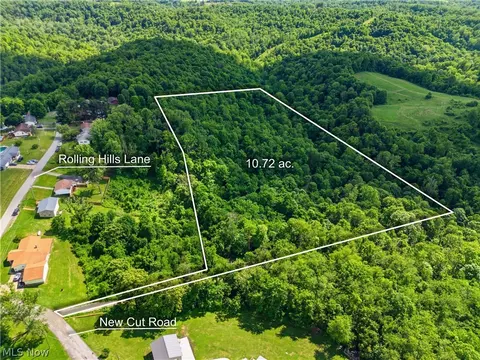 0 New Cut Rd, Shadyside, OH 43947