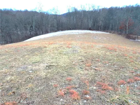 50877 Moore Ridge Rd, Jerusalem, OH 43747