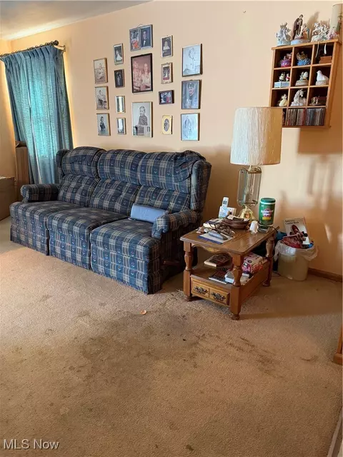 1237 Ivanhoe Ave, Youngstown, OH 44502 photo 9