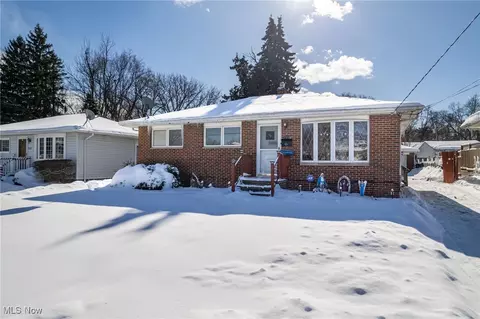 1115 Birch Ln, Cleveland, OH 44109