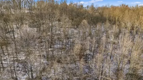 0 Skull Fork Rd, Freeport, OH 43973 photo 12